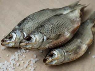 Жареный сыр 